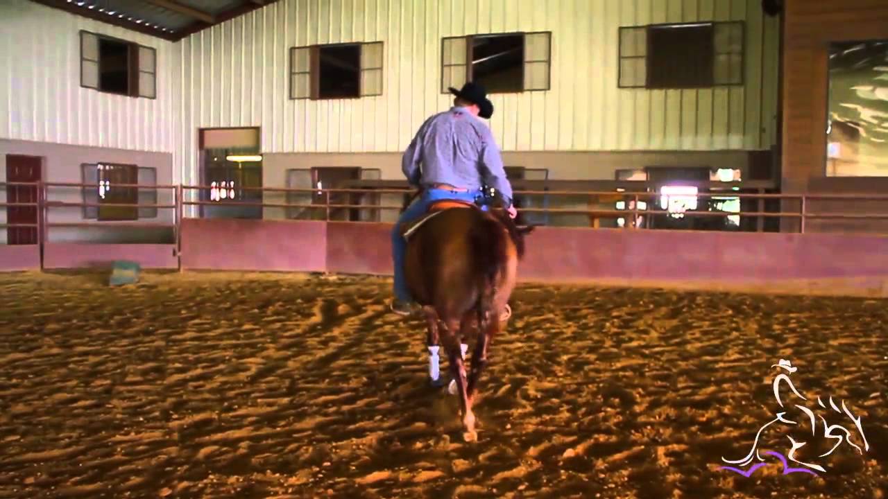 Смягчение морды лошади — Том Маккатчеон