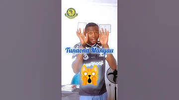 Kionjo Cha Wimbo Mpya YANGA 2025 KAZ KWENU WACHAMBUSI SIMBA SC MAKOLO Yangasc Timuyawananchi Love 