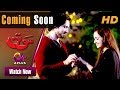 Watch Sotan- Coming Soon | Aplus Dramas | Faraz Farooqui, Aruba Mirza, Shabbir Jan, Ali Rizvi Online In HD