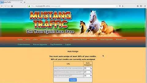 How to use Traffic Exchanges