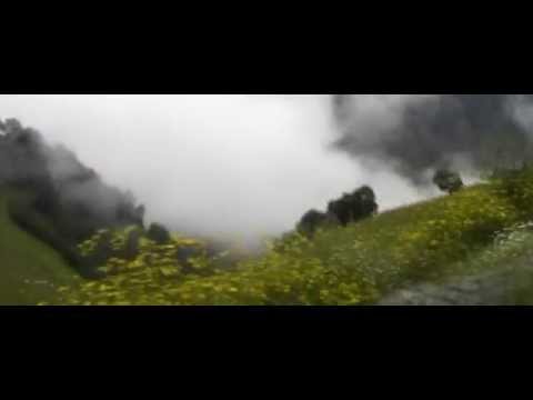 ლექსი ემიგრანტებს, ხალვაშის მითხარ როგორაა მემლექეთი- ერეკლე ცოცანიძე