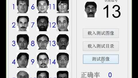 Demonstration of face recognition algorithm via sparse coding