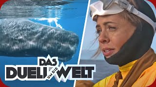 Vanessa Mai übergibt sich! Tanz mit dem Wal in Norwegen | Duell um die Welt | ProSieben