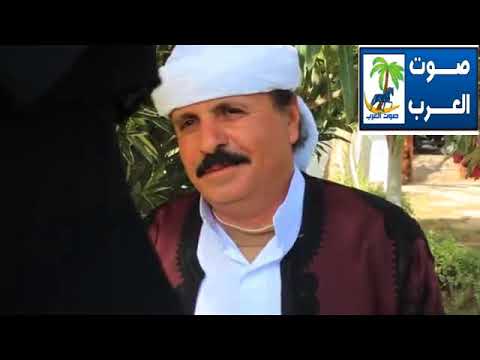 حسن الحرباوى فى وين العصارى