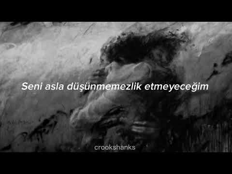 never not - lauv (türkçe çeviri)