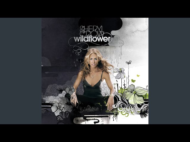 Sheryl Crow - Where Has All The Love Gone