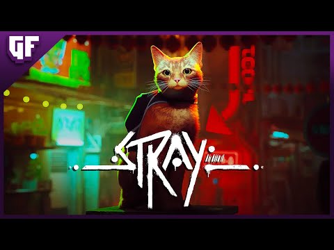 STRAY PS5 - O jogo do Gatinho  Gameplay 4K em Português PT-BR 