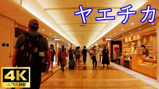 ヤエチカ　東京駅に広がる広大な地下街を散策　Yaechika: Exploring the vast underground shopping mall in Tokyo Station
