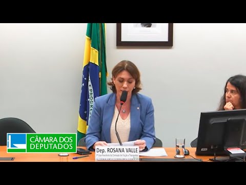 COMISSÃO DE VIAÇÃO E TRANSPORTES