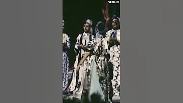 شيخات ايامات زمات 