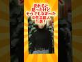 残念!そうでもなかった女性芸能人#youtubeshorts #ytshorts #芸能人