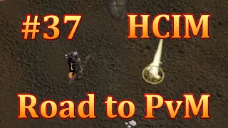 RS3 HCIM Road to PvM #37 - Surprise Pet Drop