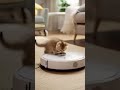 Kitten's Robot Ride Ends With Epic Fail! 😹🤖