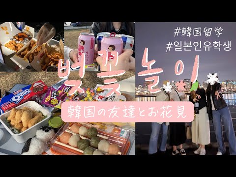 KR/JP【韓国留学】汝矣島で韓国の友達とお花見🌸🍡桜あんまりないけど漢江の夜景で大満足だった夜🌃ｌ初チメク🍗🍻ｌ韓国で流行？バランスゲームに挑戦ｌ韓国留学