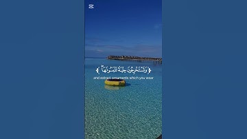 سورة فاطر { آية 12 } القارئ عاصم بن خالد #قرآن #القرآن_الكريم #سورة_فاطر #اكسبلور #لايك #راحة_نفسية