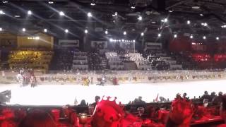 Medieval Times Valentine's Day