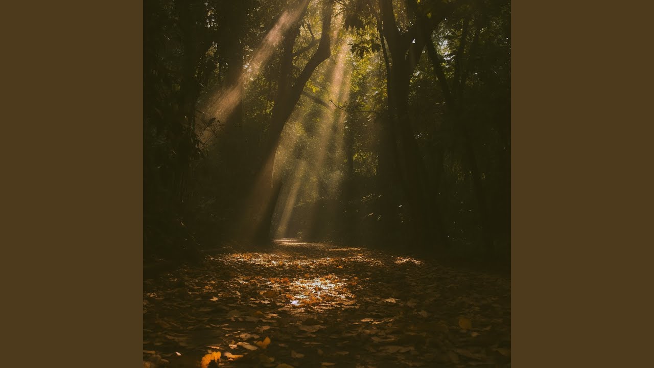 Watch Rippling (Forest) on YouTube Watch Rippling (Forest) on YouTube