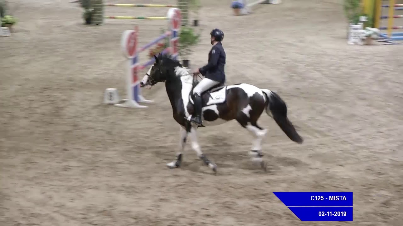 Giacomo Casadei e Anakin 2 Nov 2019