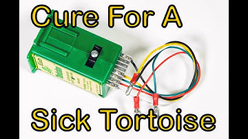 69. Cure For a Sick Tortoise