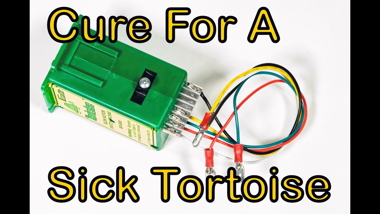 69. Cure For a Sick Tortoise