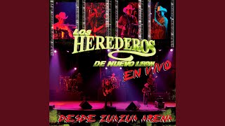 Necesito Verte (En Vivo)