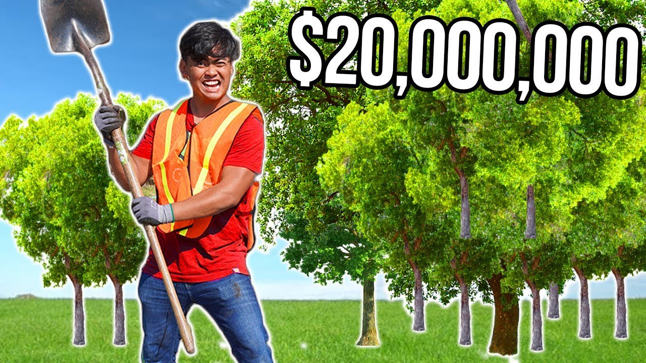 Мистер Бист деревья. Raised $20,000,000 to Plant 20,000,000 Trees. Мистер Бист сажает 20000000 деревьев. Посадил 20.000.000 деревьев мой самый большой проект.