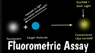 Fluorometric Assay | Fluorometric ATP Assay |