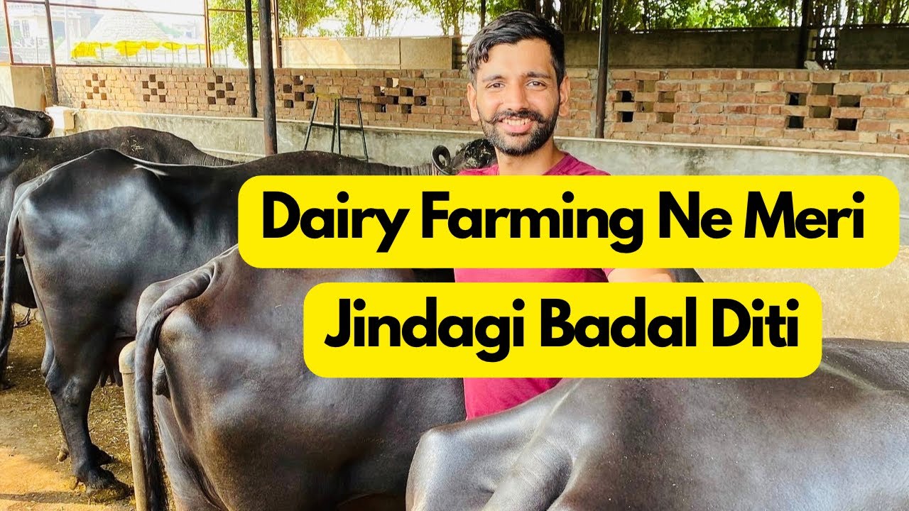 Dairy farming changed my life.