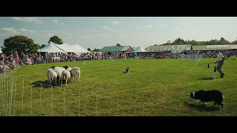 The Common Ground Country Fair