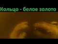 Кольцо - белое золото. Подводный Quasar ARM