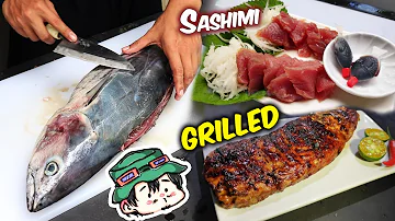 How To Catch and Cook TUNA | Sashimi & Grilled