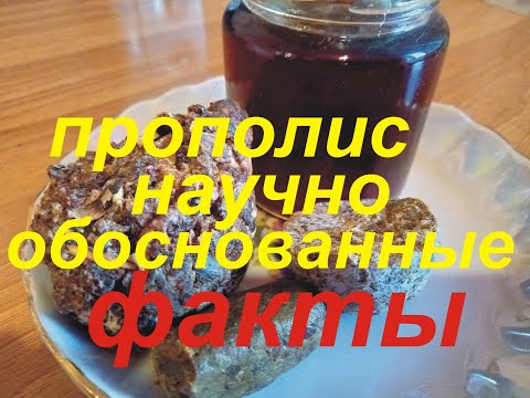 Прополис. Факты по науке.