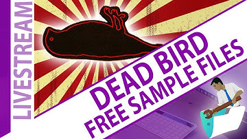 Dead Bird and Open Q&A Thursday - Free FileMaker Sample Files from the Viewers