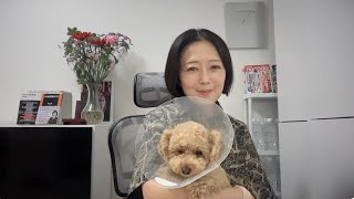 飯山あかりちゃんねるの配信のサムネイル画像