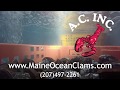 A.C. Inc - Ocean Clams - Did you Know Episode 2