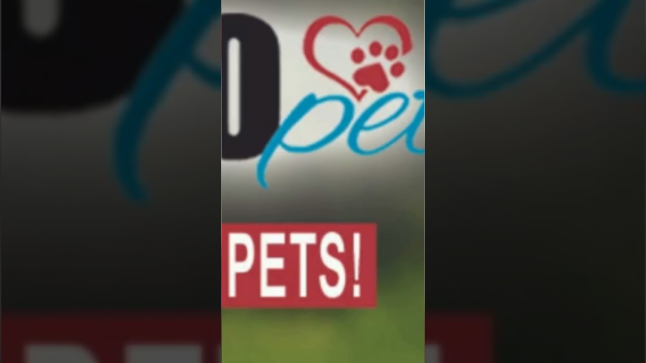 Does Your Pet Suffer? MyPaleoPet's Natural Solution