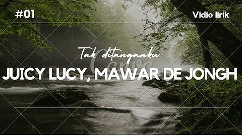 juicy Lucy , mawar de jongh - tak di tanganku video lirik unoficial