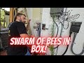 Bees attack when we trouble a pump!