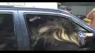 12vdb.com - car audio database: Various Hairtrick.9