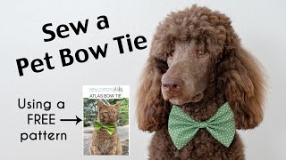 Sew a Bow Tie for your Dog (or cat)