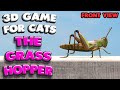 3D game for cats | CATCH THE GRASSHOPPER (front view) | 4K, 60 fps, stereo sound