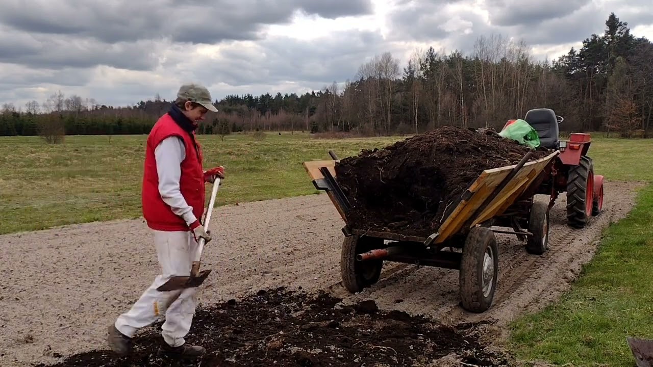 Rozrzucanie obornika Władimirec T-25