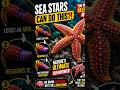 This Sea Creature Can Grow Back Its Body 😳⭐