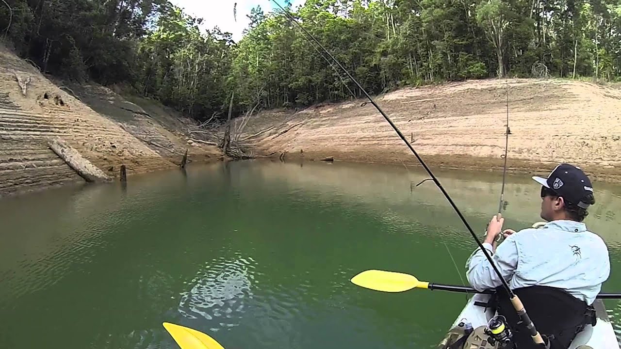 FTD FISHING SOOTY GRUNTER YouTube FTD FISHING SOOTY GRUNTER YouTube