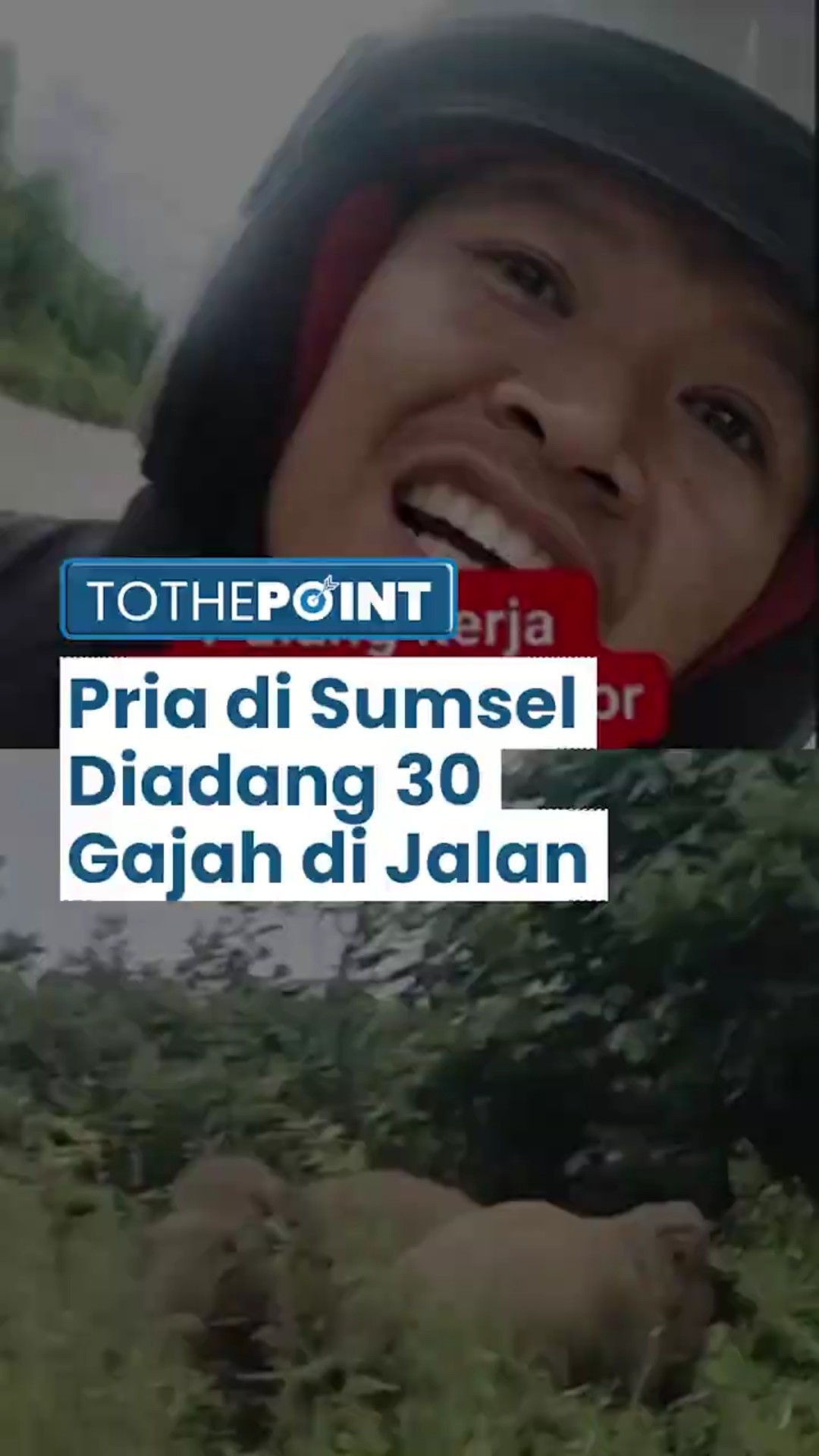 Viral di Facebook, Video Pria Diadang 30 Gajah di Sumsel saat Pulang Kerja, Polisi Ikut Merespons