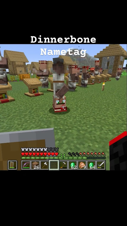 Dinnerbone #minecraft