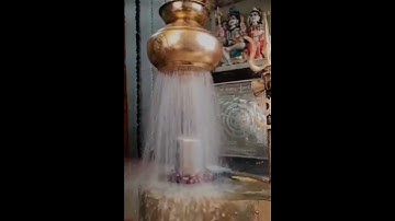 Mahakal Abhishek #status #whatsapp #mahadev #aarti #status #bholenath #shankar #shiv #mandir #india