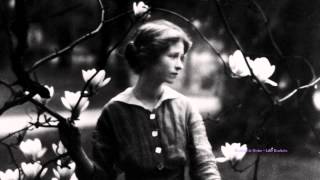 Romantic Noise - Like Rockets