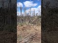 A view of the tornado touchdown site from the Mountain Bay trail in Ringle, WI.