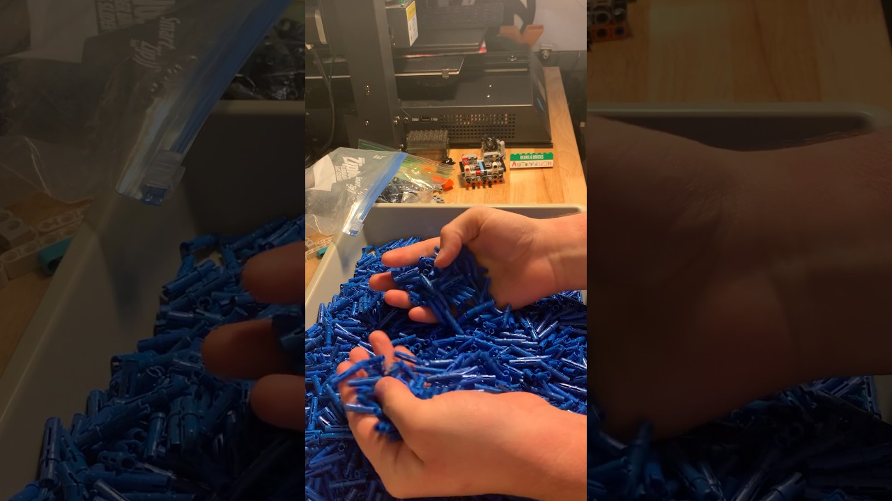 I ordered more Technic parts… A lot more. 